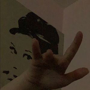 Meet your Posher, Bailey